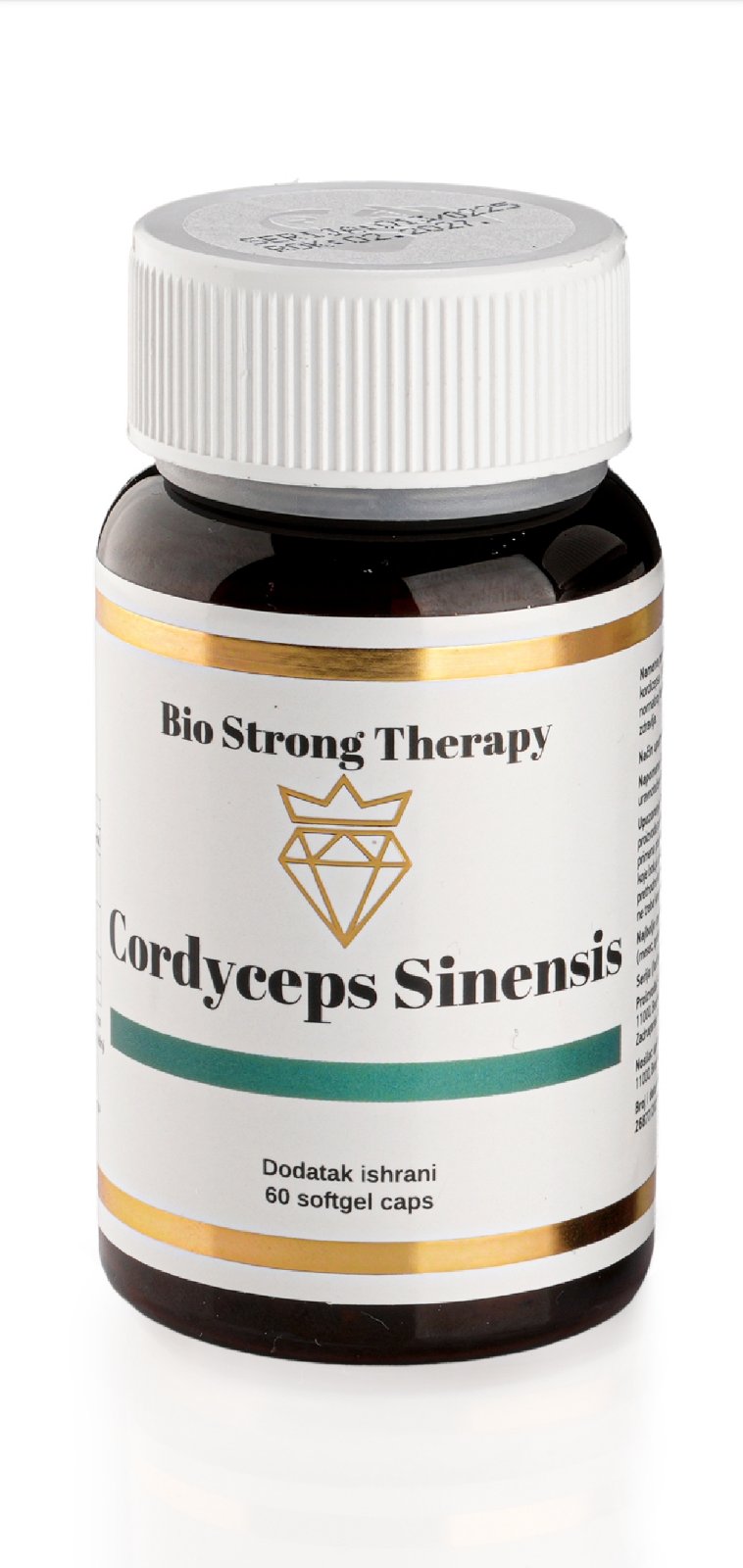 cordyceps sinensis
